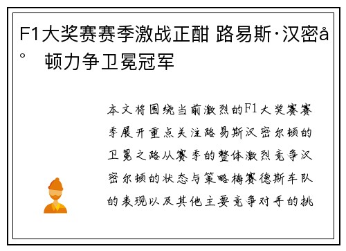 F1大奖赛赛季激战正酣 路易斯·汉密尔顿力争卫冕冠军